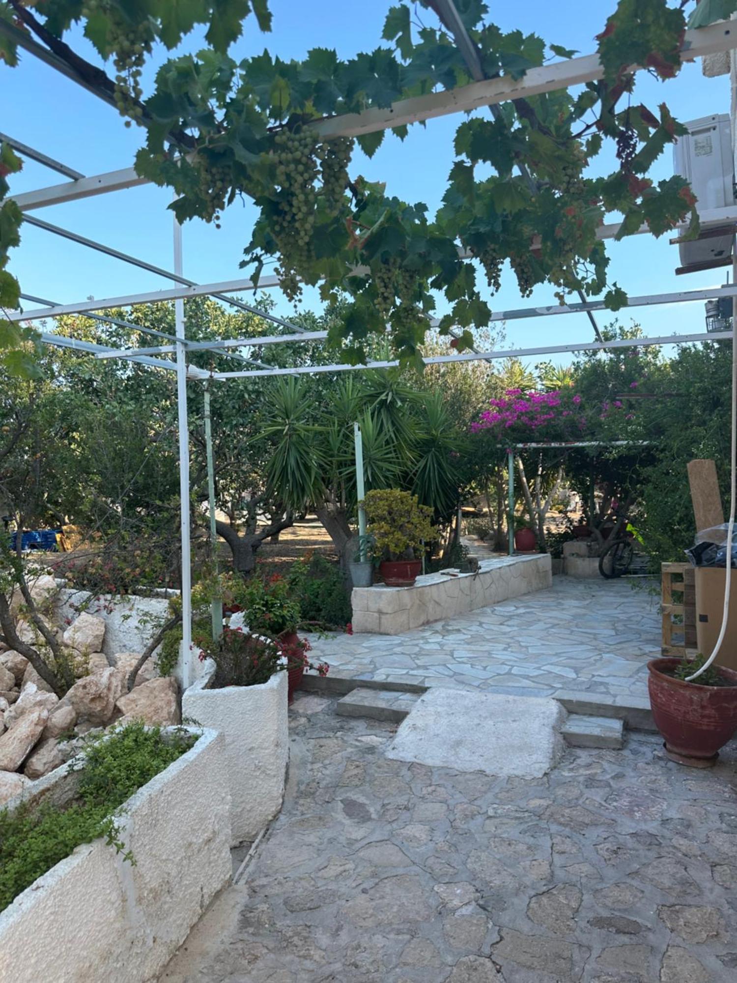 Apartment Solmar Aegina With Private Pool - Jacuzzi