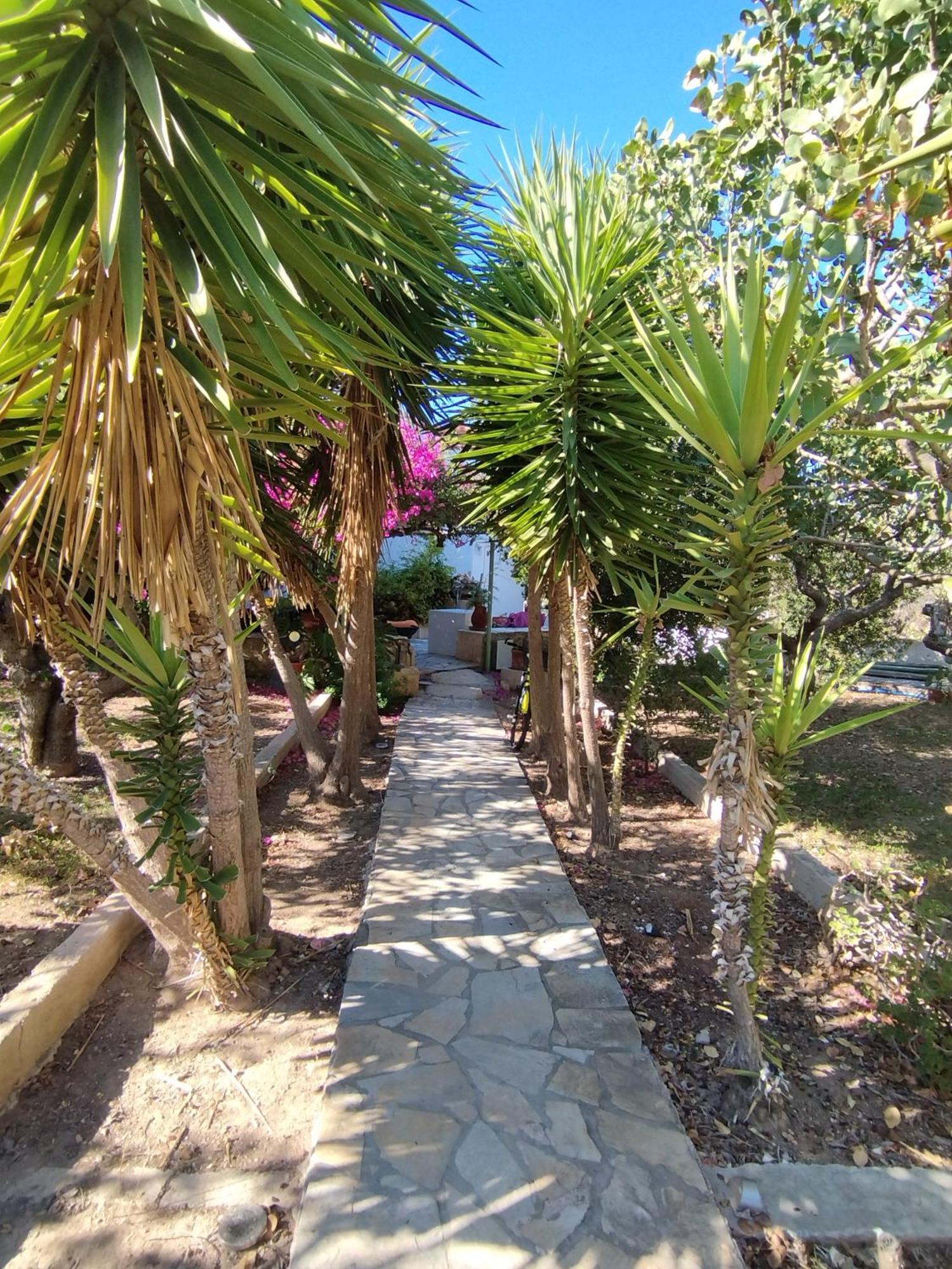 Solmar Aegina With Private Pool - Jacuzzi